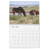 Calendrier des chevaux sauvages de l'île de Sable (Mar 2027)
