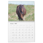 Calendrier des chevaux sauvages de l'île de Sable (Jan 2027)