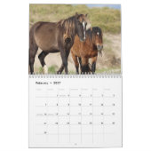 Calendrier des chevaux sauvages de l'île de Sable (Feb 2027)