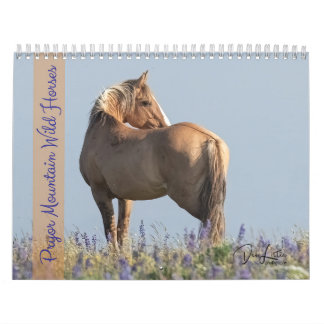 Calendrier des Chevaux sauvages de Pryor Mountain