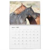 Calendrier des Chevaux sauvages d'Onaqui (Mar 2027)