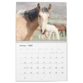 Calendrier des Chevaux sauvages d'Onaqui (Jan 2027)