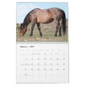Calendrier des Chevaux sauvages d'Onaqui (Feb 2027)