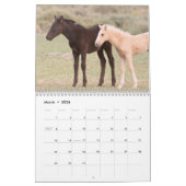 Calendrier des Chevaux sauvages d'Onaqui (Mar 2026)