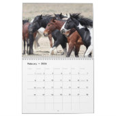 Calendrier des Chevaux sauvages d'Onaqui (Feb 2026)