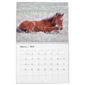 Calendrier des Chevaux sauvages d'Onaqui (Feb 2026)