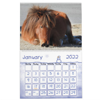 Calendrier des Chevaux sauvages, île Assateague