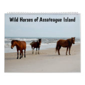 Calendrier des Chevaux sauvages, île Assateague (Protection)