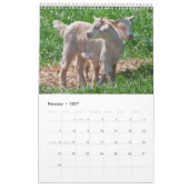 Calendrier des chèvres (Feb 2027)