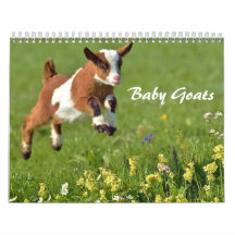 Calendrier des chèvres adorables pour bébés
