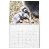 Calendrier des chèvres mignonnes pour bébés (Mar 2027)