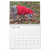 Calendrier des chèvres mignonnes pour bébés (Jan 2027)