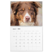 Calendrier des chiens (Mar 2026)