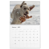 Calendrier des chiens (Feb 2027)