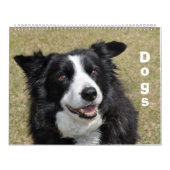 Calendrier des chiens (Protection)