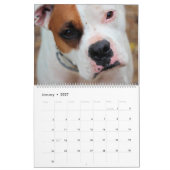 Calendrier des chiens (Jan 2027)