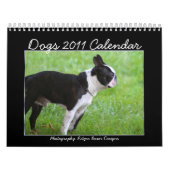 Calendrier des chiens 2011 (Protection)
