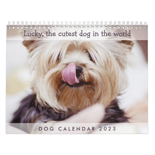 Calendrier des chiens 2023 Ajouter vos photos mign (Protection)