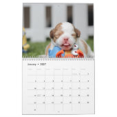 Calendrier des chiens 2023 Ajouter vos photos mign (Jan 2027)