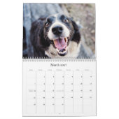 Calendrier des chiens 2026 (Mar 2027)