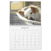 Calendrier des chiens 2026 (Jan 2027)