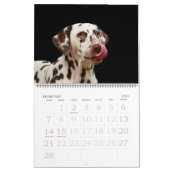 Calendrier des chiens 20xx modifiables (Feb 2027)