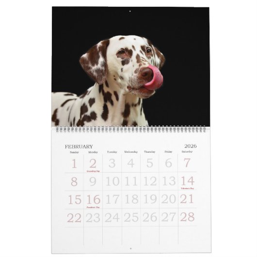 Calendrier des chiens 20xx modifiables (Feb 2026)