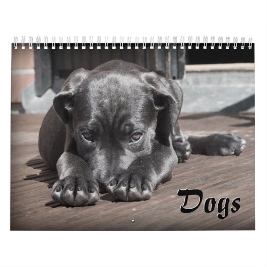 Calendrier des chiens adorables (Protection)