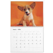 Calendrier des chiens Animaux Pop Art (Mar 2026)
