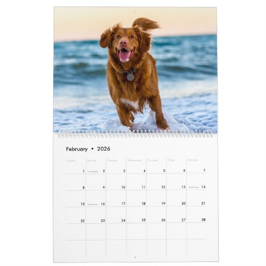 Calendrier des chiens Animaux Pop Art (Feb 2026)