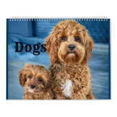 Calendrier des chiens Animaux Pop Art (Protection)