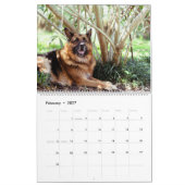 Calendrier des chiens avec une race différente par (Feb 2027)