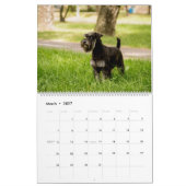 Calendrier des chiens avec une race différente par (Mar 2027)