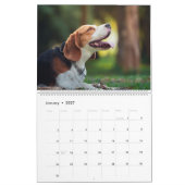 Calendrier des chiens avec une race différente par (Jan 2027)