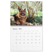 Calendrier des chiens avec une race différente par (Feb 2026)