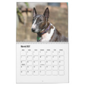 Calendrier des chiens Bull Terrier (Mar 2027)