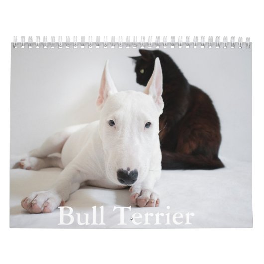 Calendrier des chiens Bull Terrier (Protection)