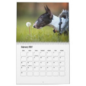 Calendrier des chiens Bull Terrier (Feb 2027)
