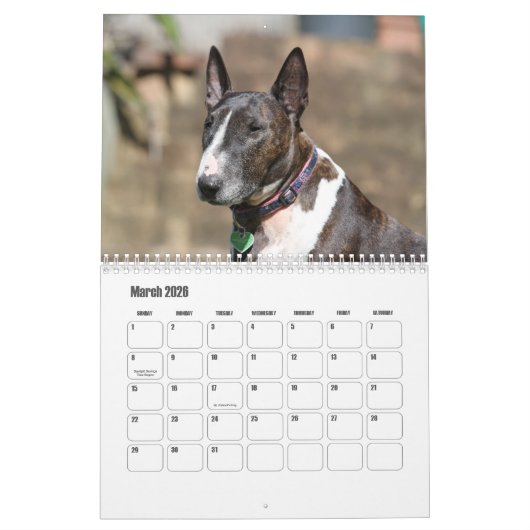 Calendrier des chiens Bull Terrier (Mar 2026)