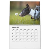 Calendrier des chiens Bull Terrier (Feb 2026)