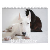 Calendrier des chiens Bull Terrier (Protection)