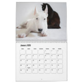 Calendrier des chiens Bull Terrier (Jan 2026)