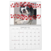 Calendrier des Chiens Cute K-Cee Zuchon 2021 (Feb 2027)