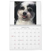 Calendrier des Chiens Cute K-Cee Zuchon 2021 (Mar 2026)