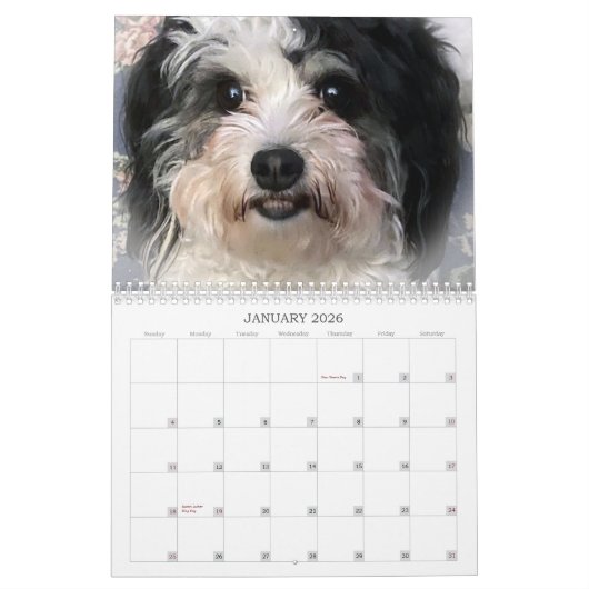 Calendrier des Chiens Cute K-Cee Zuchon 2021 (Jan 2026)