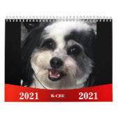 Calendrier des Chiens Cute K-Cee Zuchon 2021 (Protection)