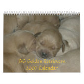 Calendrier des chiens d'arrêt d'or 2007 de JBG (Protection)