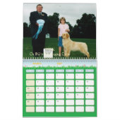 Calendrier des chiens d'arrêt d'or 2007 de JBG (Mar 2027)