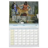 Calendrier des chiens d'arrêt d'or 2007 de JBG (Feb 2026)