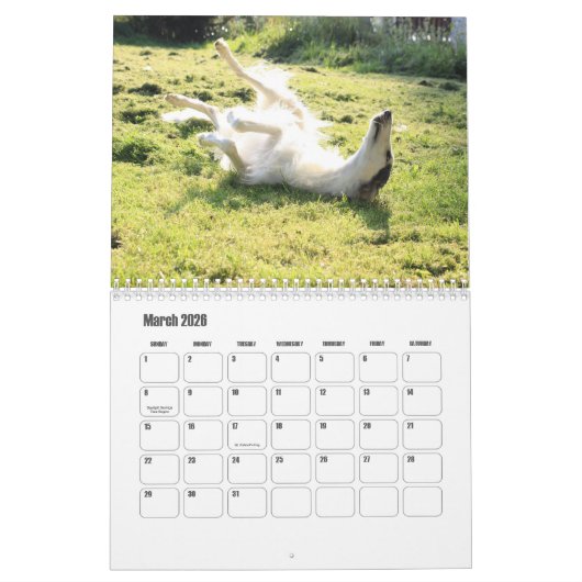 Calendrier des Chiens de Borzoi (Mar 2026)